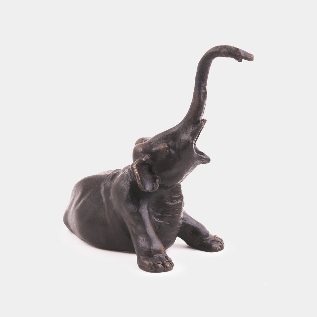 Le jeune Éléphant