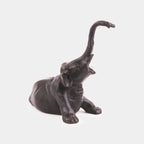 Le jeune Éléphant