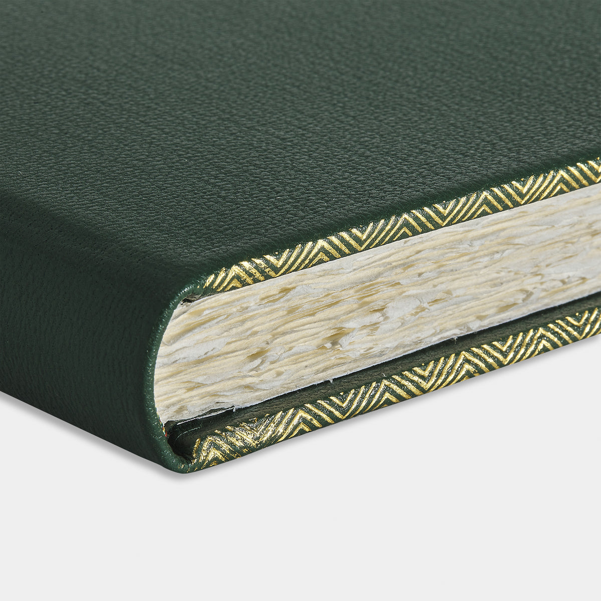 Zoom livre d'or cuir maroquin vert Benneton Graveur fermé