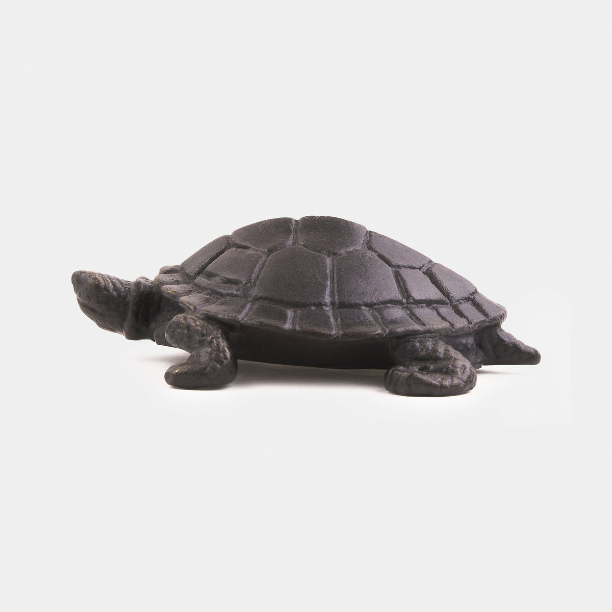 La Tortue