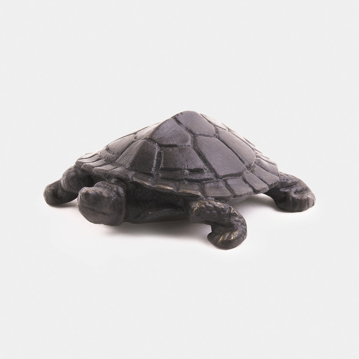 La Tortue