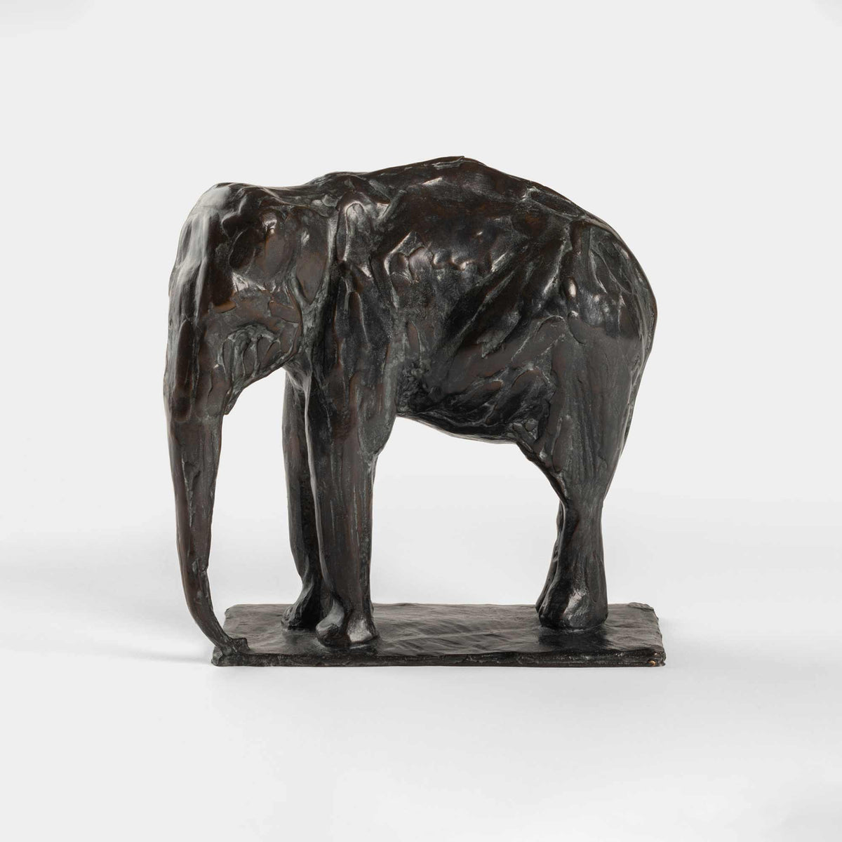 Le petit Éléphant au repos